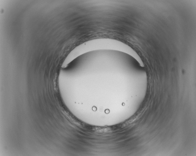 X0000058130185200510212055