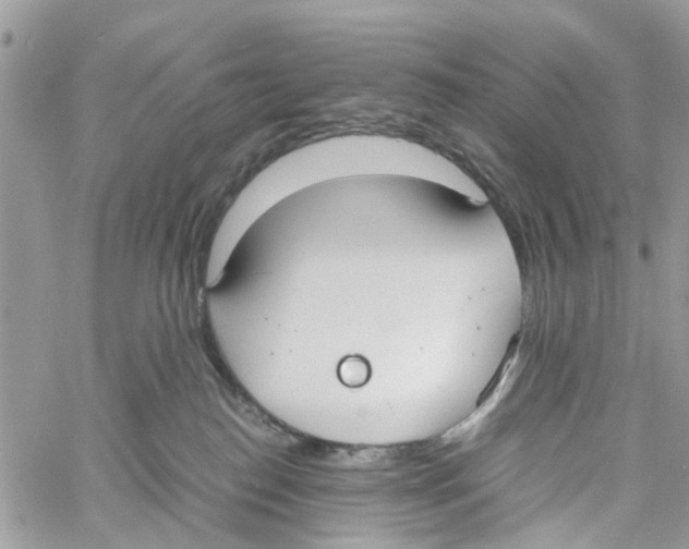 X0000058130186200510212055