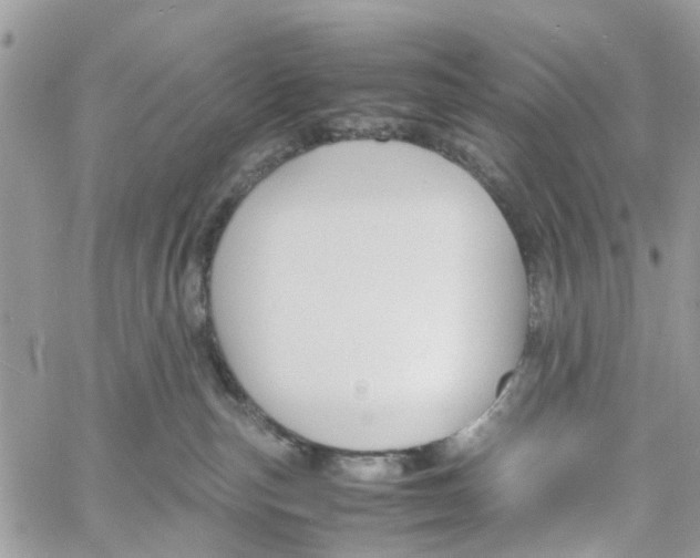 X0000058130187200510212055