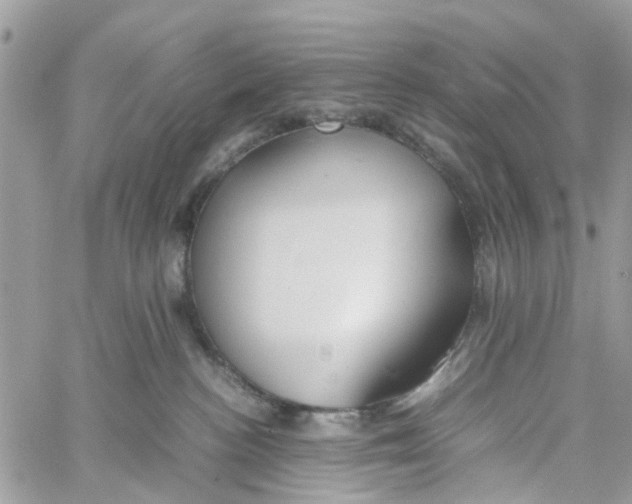 X0000058130188200510212055