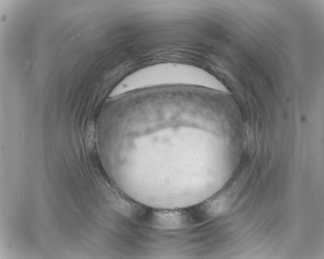 X0000058130189200510212055