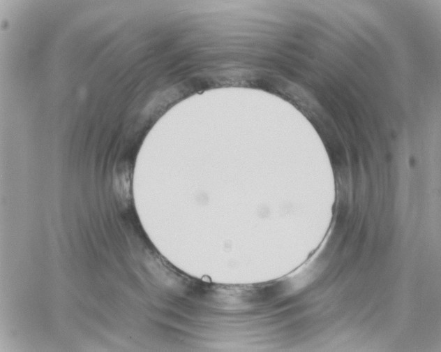 X0000058130190200510212055