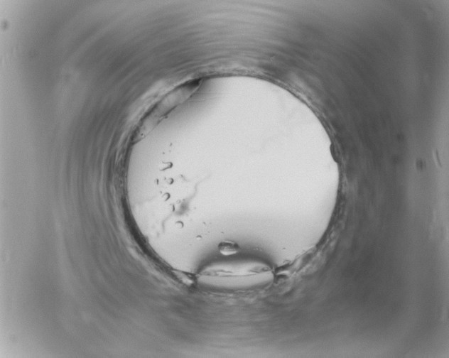 X0000058130193200510212054