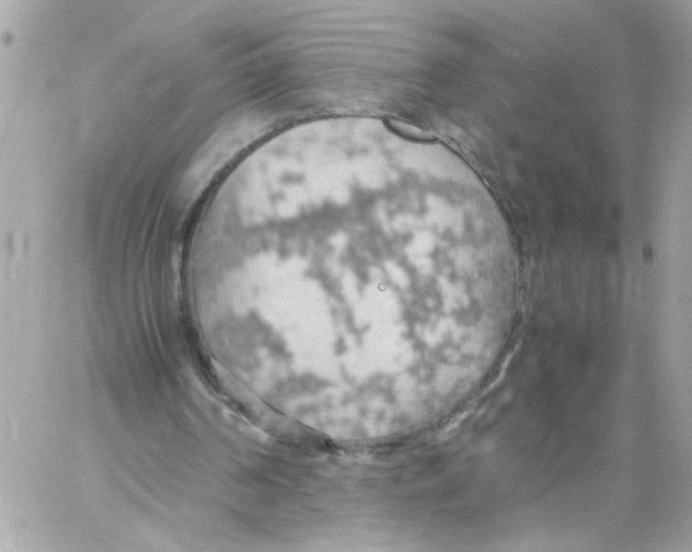 X0000058130194200510212054