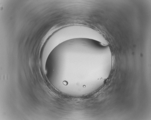 X0000058130195200510212054