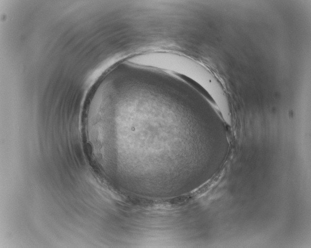 X0000058130196200510212054