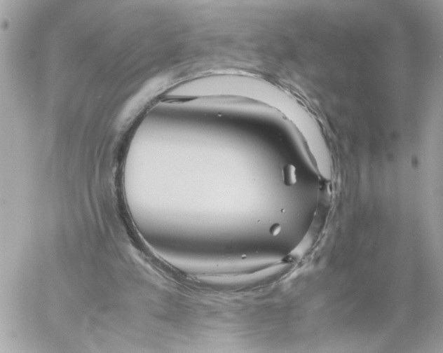 X0000058130197200510212054