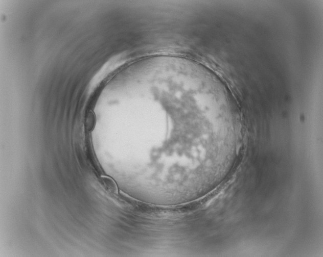 X0000058130198200510212054