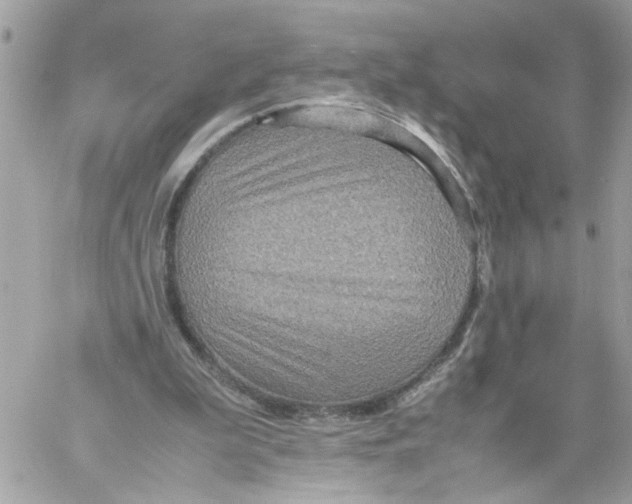 X0000058130199200510212054