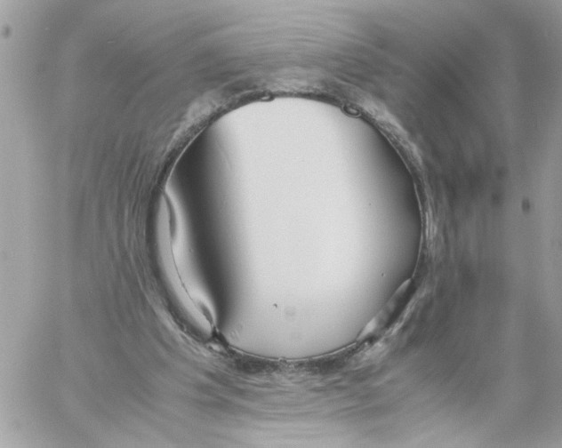 X0000058130201200510212054