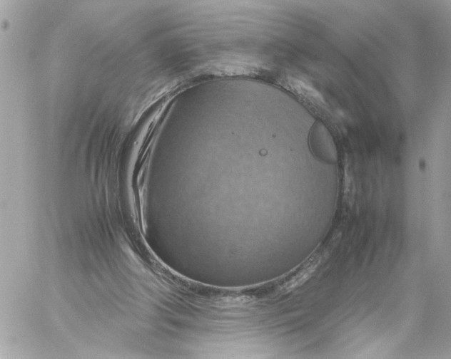 X0000058130202200510212054