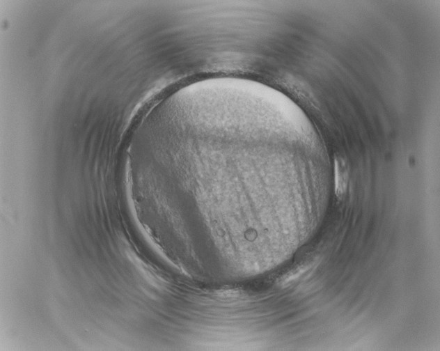 X0000058130204200510212054