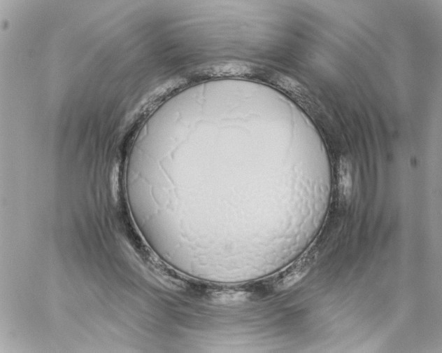 X0000058130206200510212054