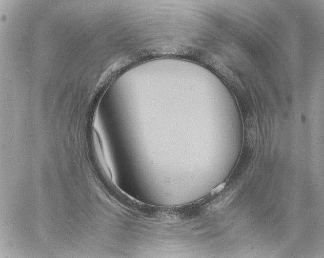 X0000058130207200510212054