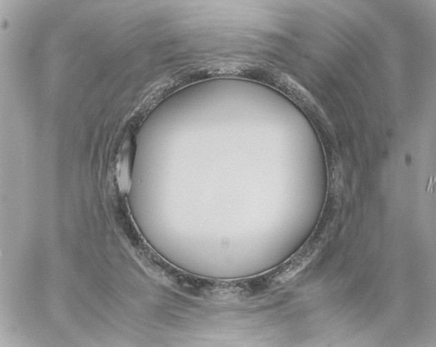 X0000058130209200510212054