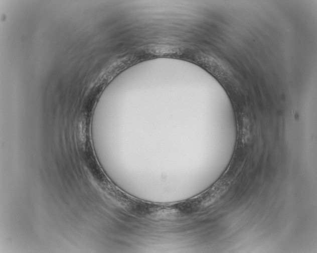 X0000058130210200510212054