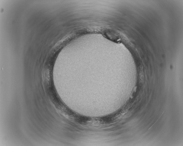 X0000058130211200510212054