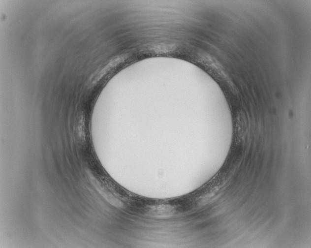 X0000058130212200510212054