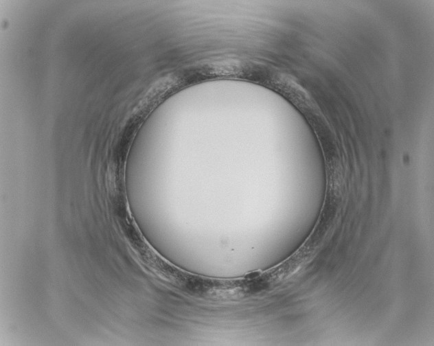 X0000058130213200510212054