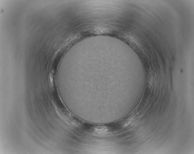 X0000058130214200510212054