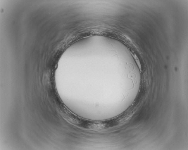 X0000058130217200510212054