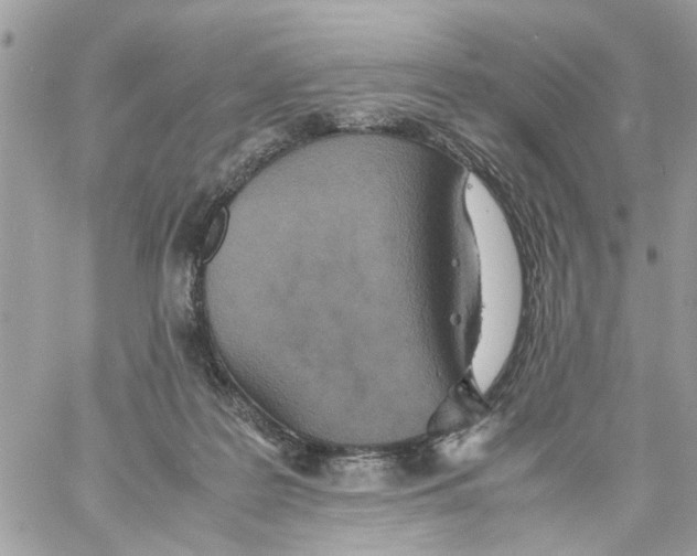 X0000058130219200510212054