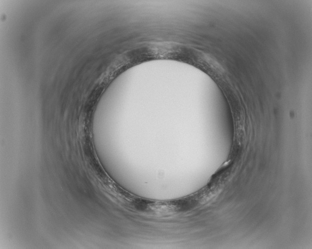 X0000058130221200510212054