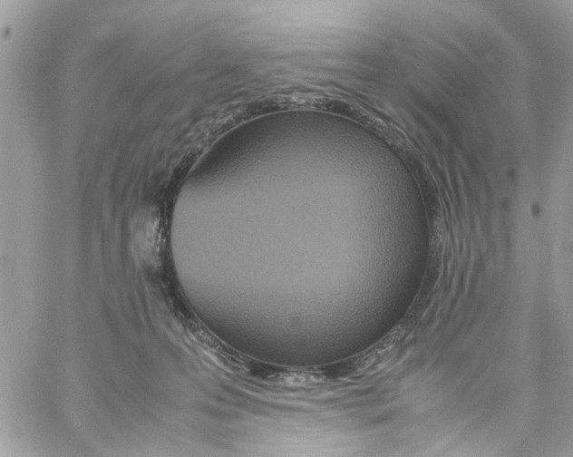 X0000058130223200510212054