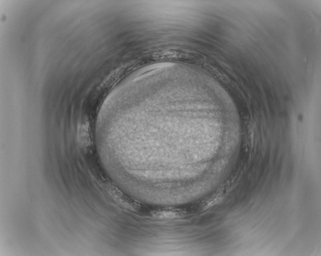 X0000058130224200510212054