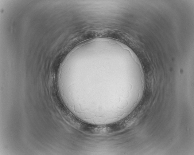 X0000058130225200510212054