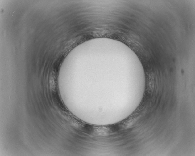 X0000058130226200510212054