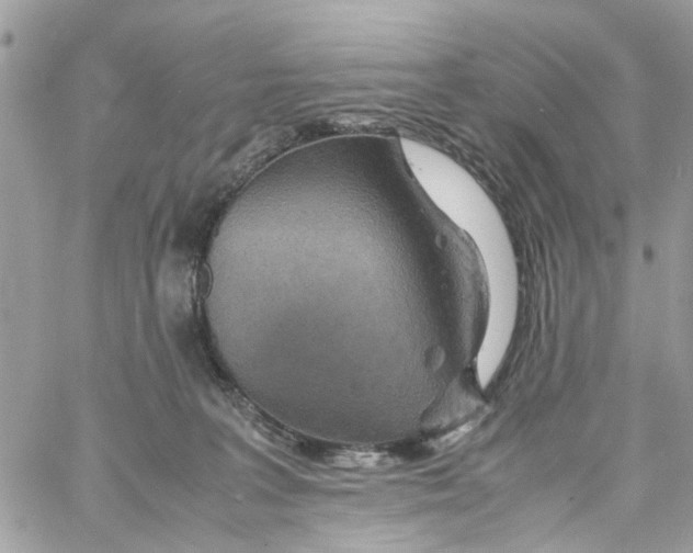 X0000058130227200510212054