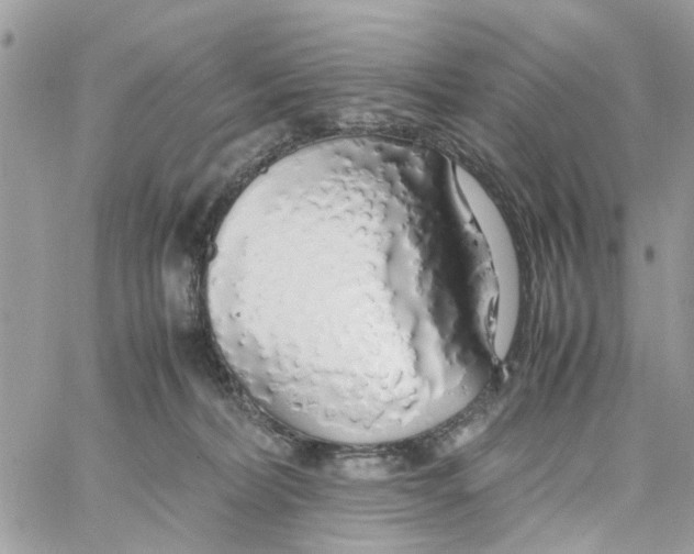 X0000058130228200510212053