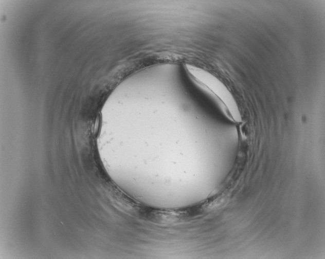 X0000058130229200510212053