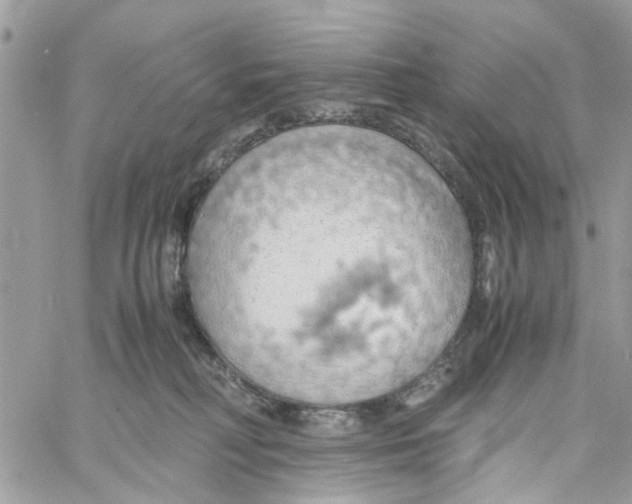 X0000058130230200510212053