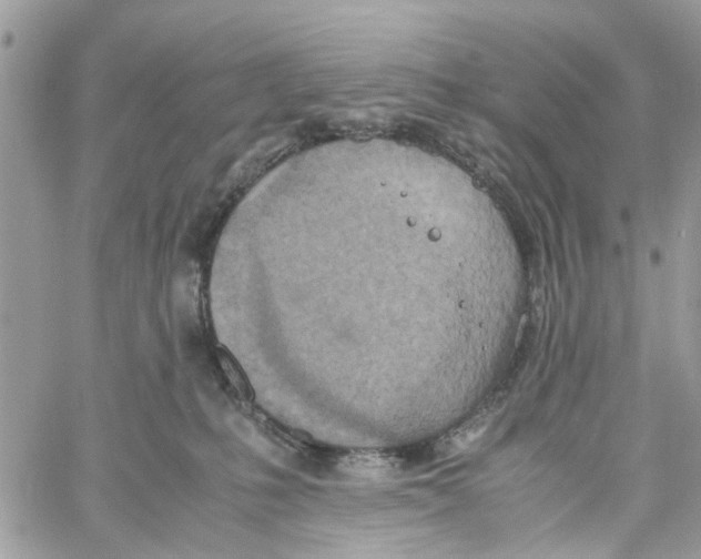 X0000058130231200510212053