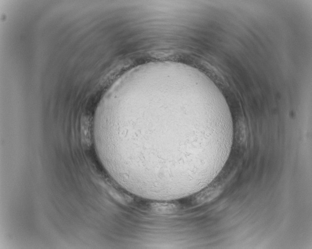 X0000058130234200510212053