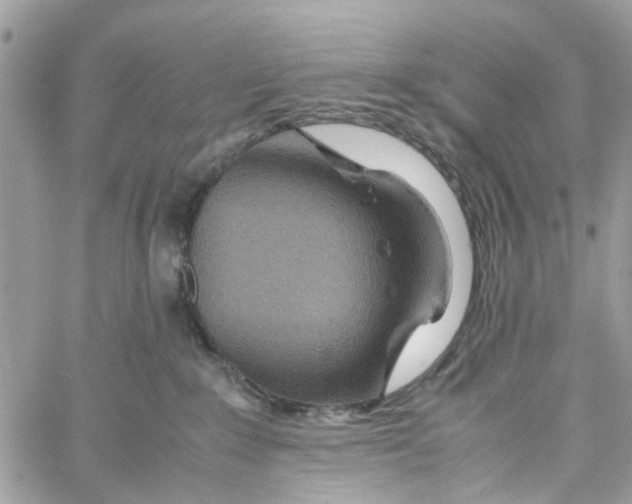 X0000058130235200510212053