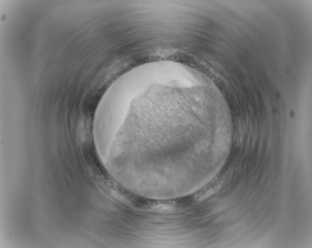 X0000058130236200510212053