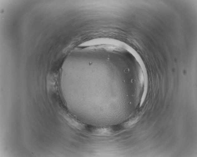 X0000058130237200510212053