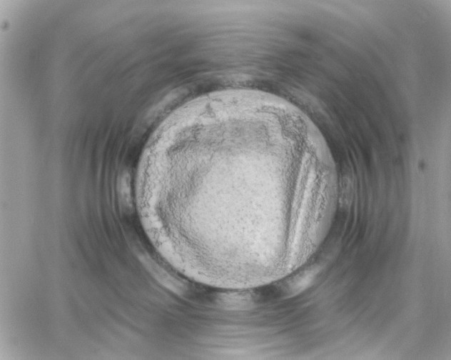 X0000058130238200510212053