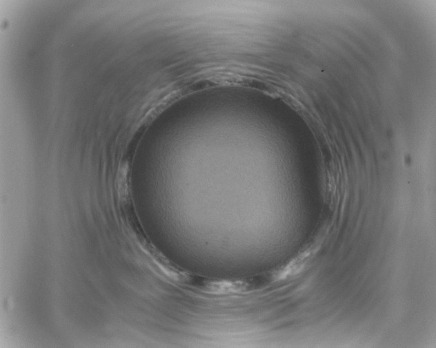 X0000058130239200510212053