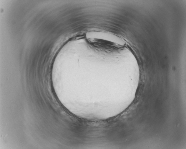 X0000058130241200510212053