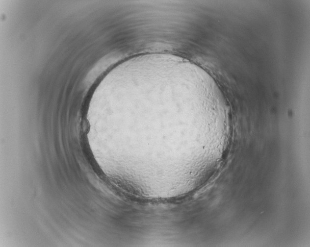 X0000058130242200510212053