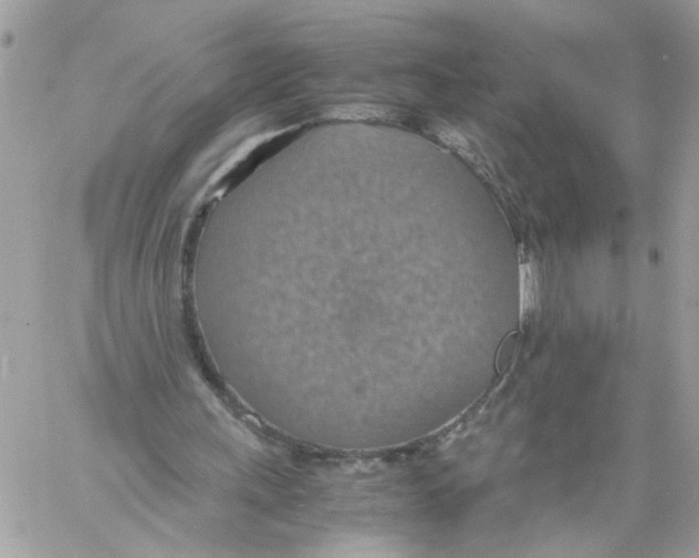 X0000058130243200510212053