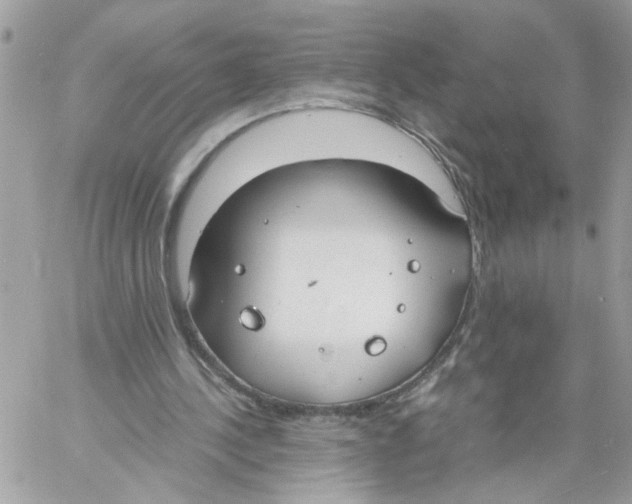 X0000058130244200510212053