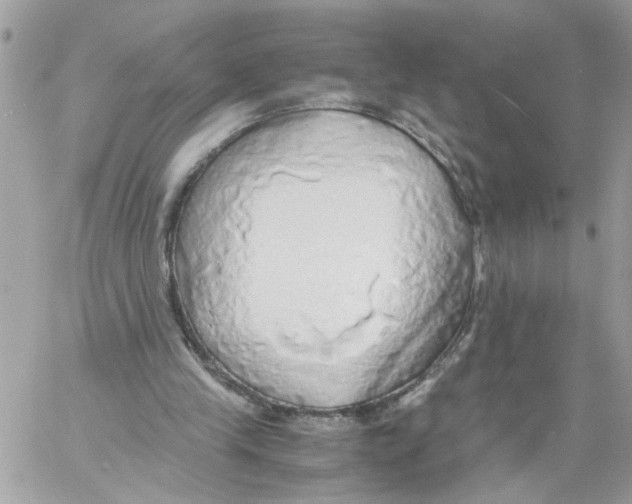 X0000058130245200510212053