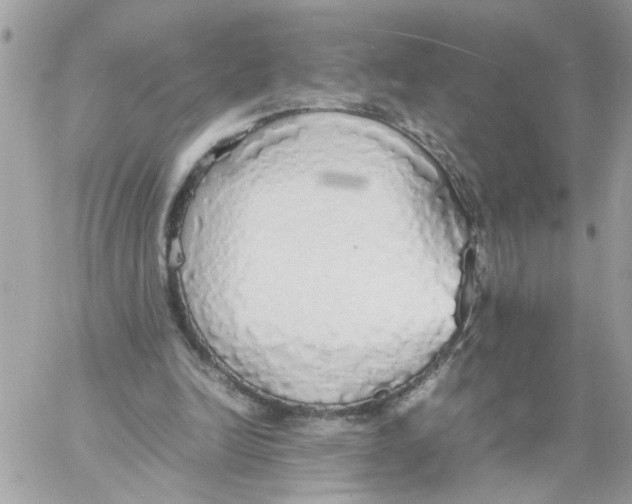 X0000058130246200510212053