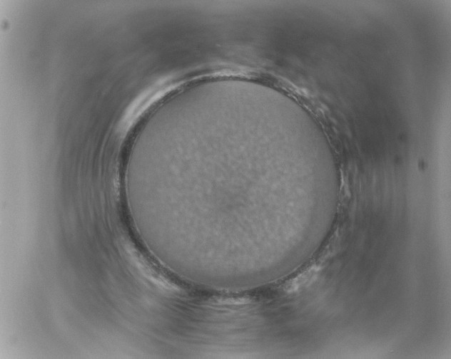 X0000058130247200510212053