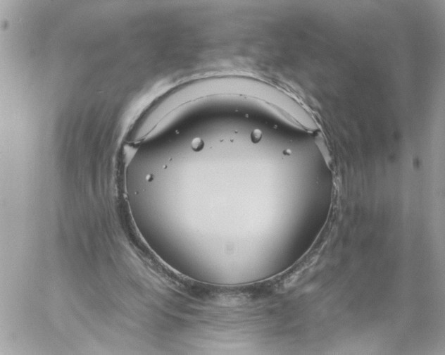 X0000058130248200510212053